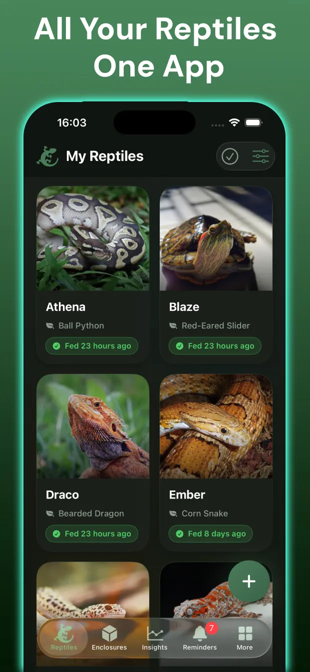 Exotic Reptile Care app showing reptile collection dashboard with ball python, bearded dragon and gecko profiles