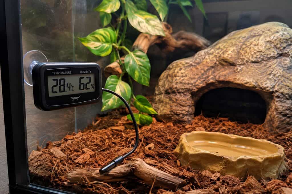 Reptile temperature and humidity shown on a digital thermometer and hygrometer inside an enclosure